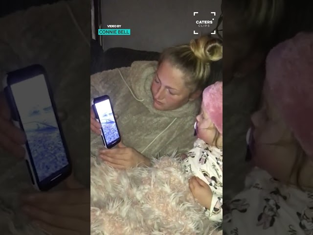 Dog Pushes Toddler Off A Ramp #fails