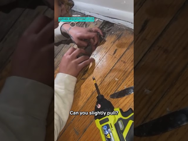 Cat Gets Stuck In The Floorboards #petrescue