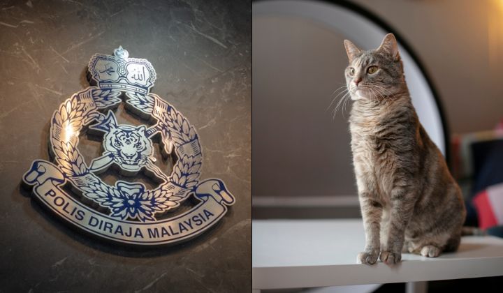 Foreigner Caught For Alleged Bestiality On Cat In Kota Kemuning Apartment