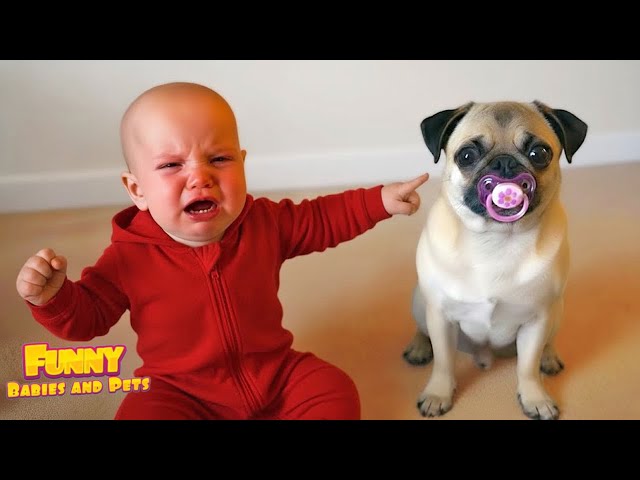 You Won’t Stop Laughing After This 😂 The Funniest Moments Ever! Funny Baby and Pets