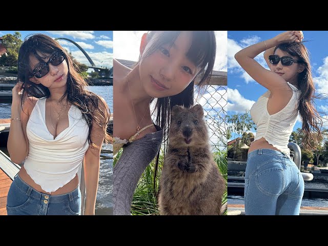 쿼카 보고 싶어서 갑자기 짐싸서 호주 온 사람ㅣ저랑 쿼카 닮았나요? 시드니- 퍼스 - 로트네스트 아일랜드ㅣ호주 브이로그 EP.3