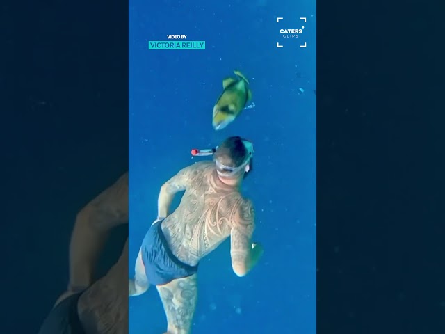 Man Gets Bitten By a Fish #oceanvibes