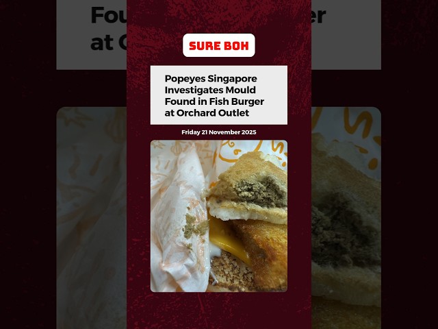 Popeyes Singapore Investigates Mould Found in Fish Burger at Orchard Outlet