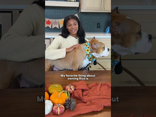 Gabby Thomas Can’t Stop Smiling Over Her Rescue Dog’s Nicknames | The Dodo