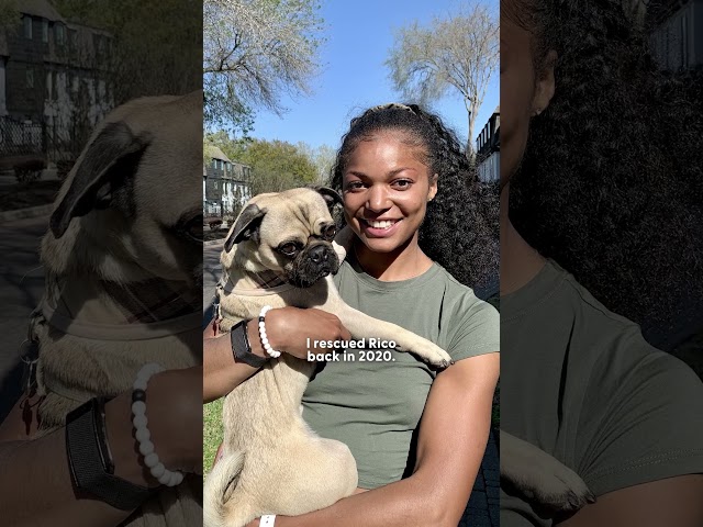 Why Olympic Gold Medalist Gabby Thomas Chose to Rescue Her Dog | The Dodo