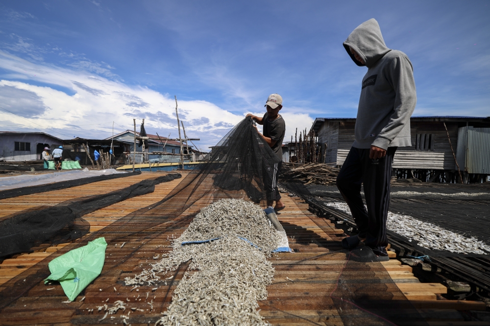 Small fish, big earnings: These Sabah entrepreneurs turns ‘ikan bilis’ into gold, nets RM7,000 monthly