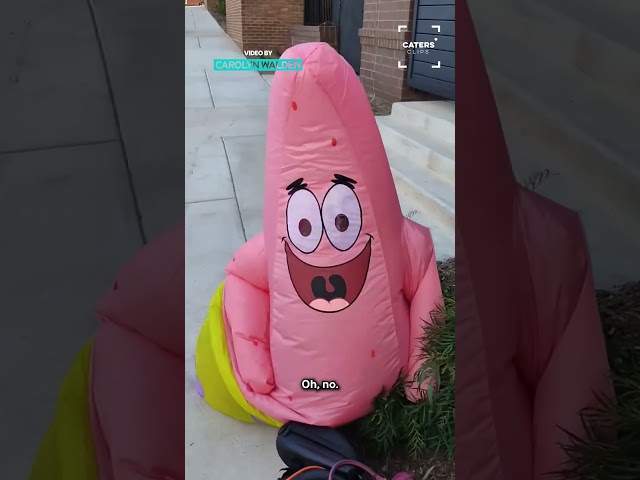 Patrick Star Takes A Fall #fails #patrickstar
