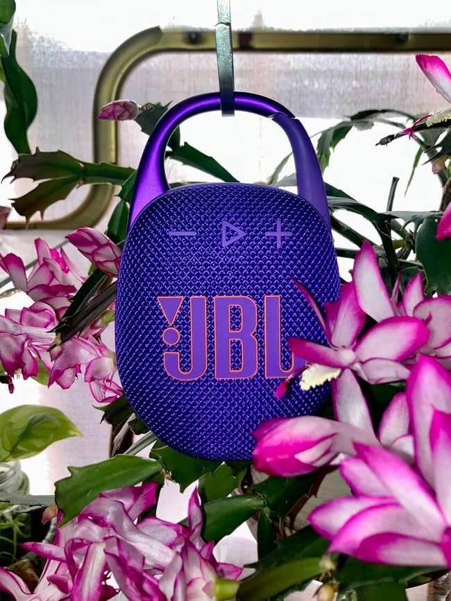 Amazon Released Their Top 100 Gifts For 2025 And Here Are Our 29 Favorites