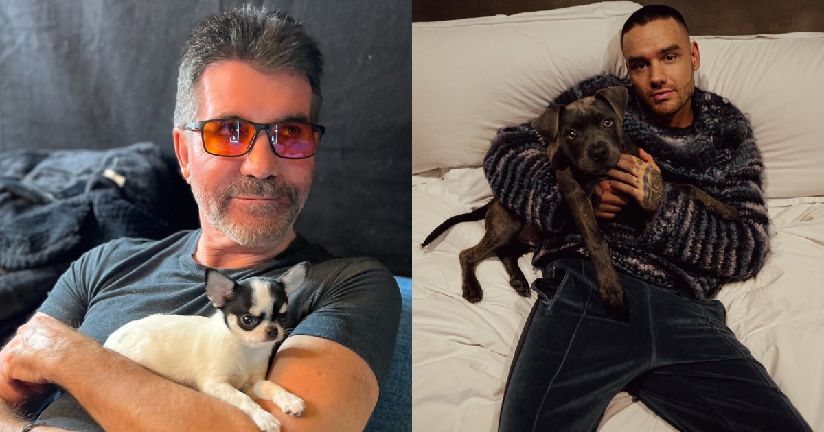 Simon Cowell told late Liam Payne 'music is not everything'