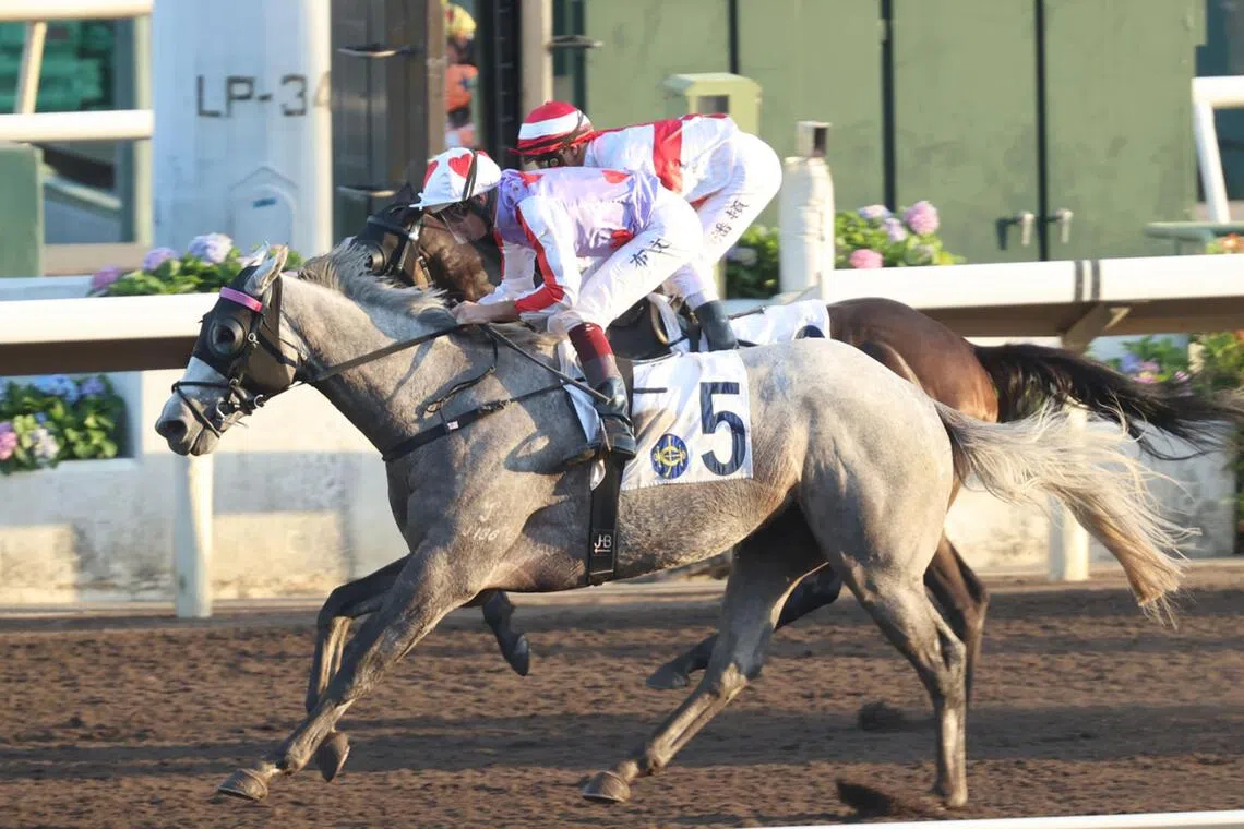 Talents Ambition to win again