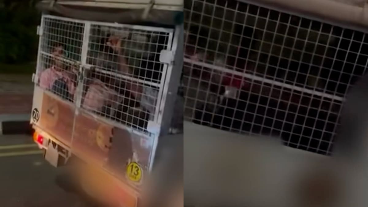 Migrant Workers In Caged Lorry Video Sparks Debate In SG