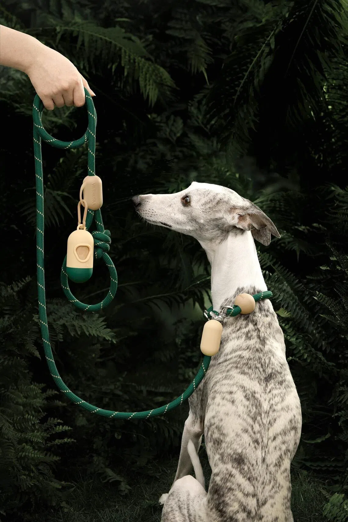 Get into the holiday spirit by supporting charity SOSD, celebrate Christmas at Big Furry Festival