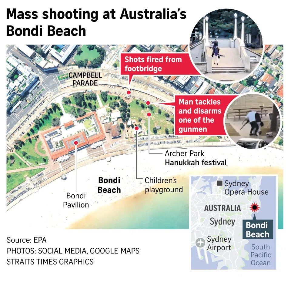 Australian intelligence probed Bondi Beach gunman for IS links: Report