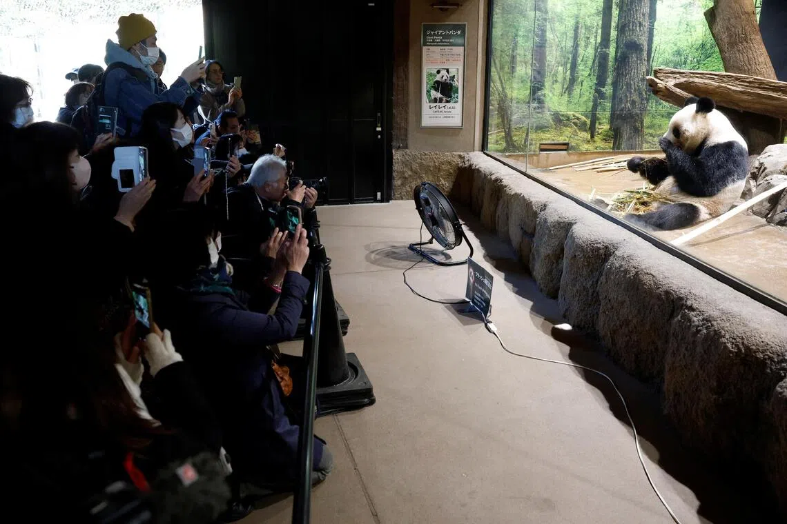 Crowds line up at Japan’s Ueno zoo on first weekend since panda departure announced