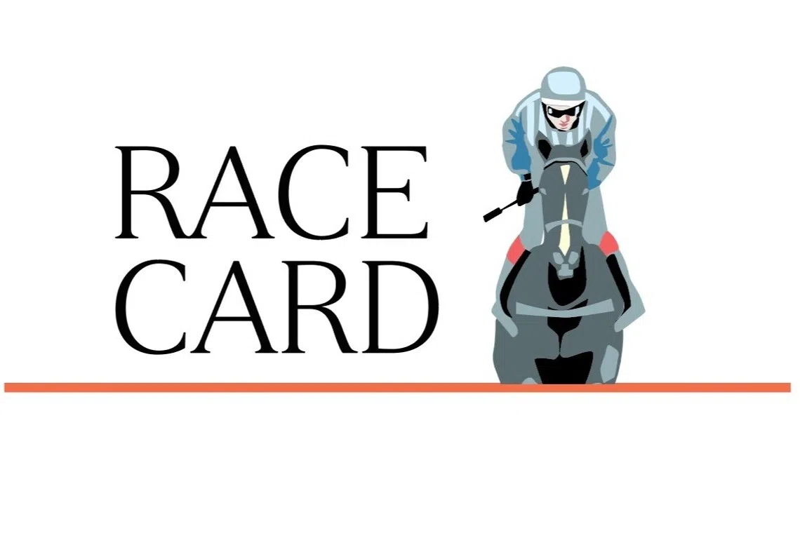 Race cards for Dec 25