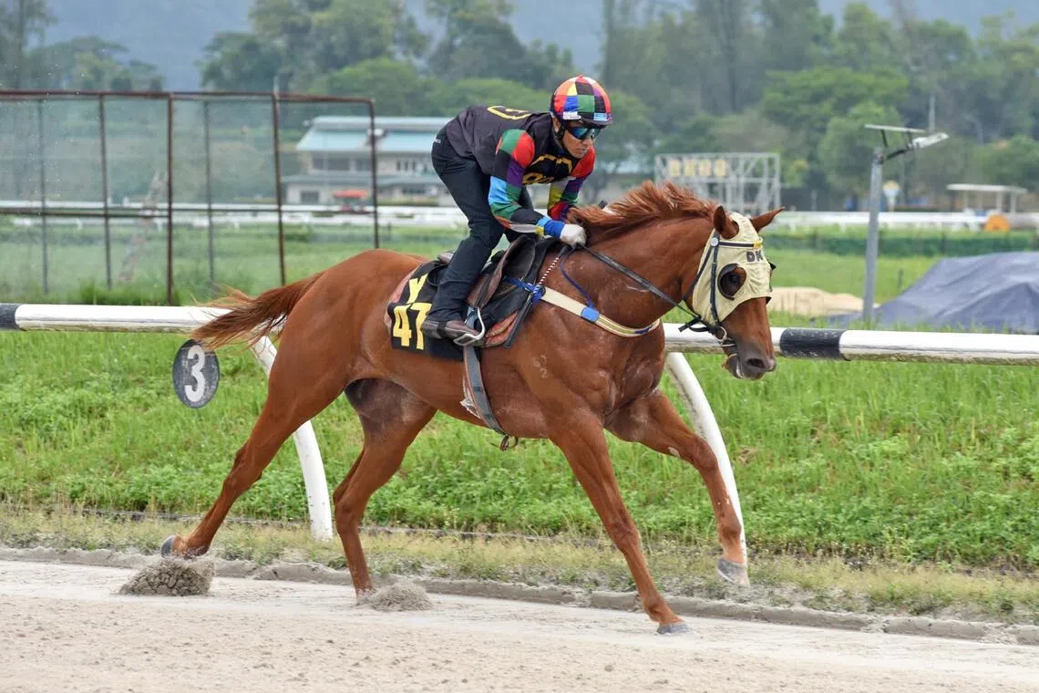 David Kok’s duo run the show in KL trials