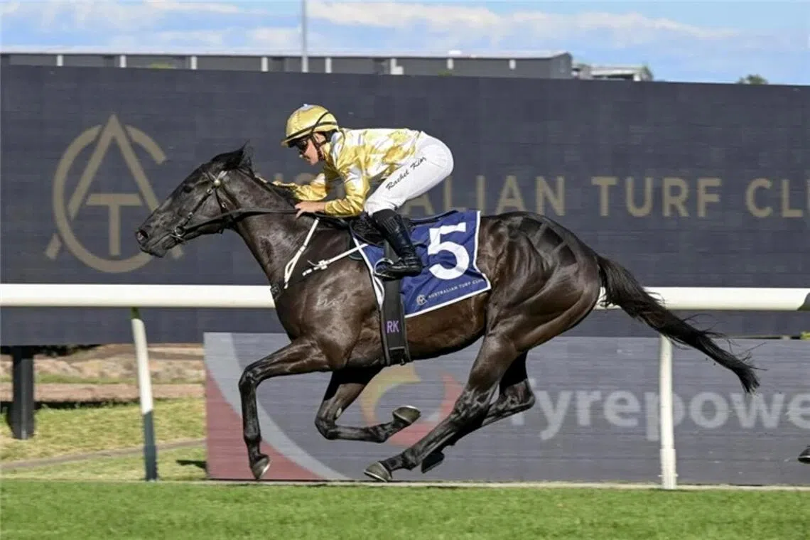 Tulloch Lodge pair huge chance in Group 3 Summer Cup