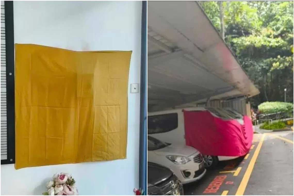 Woman arrested after graffiti found on walls and vehicles at Salvation Army premises in Bukit Timah