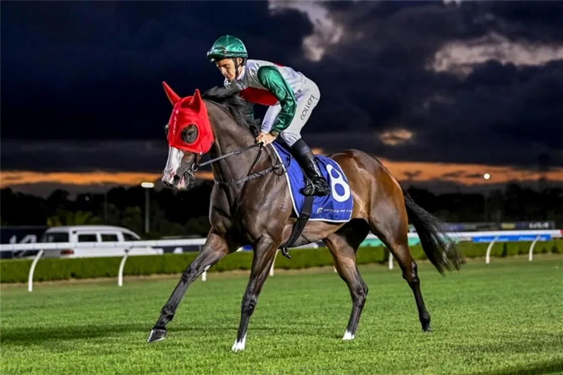 All systems go for 3YO Caffe Florian’s Gosford Guineas tilt