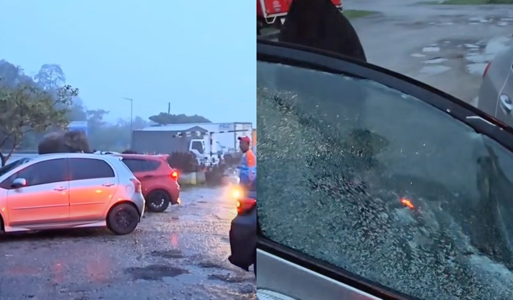 An elephant, a durian stash and one unlucky Honda City at Amiza Titiwangsa R&R (VIDEO)