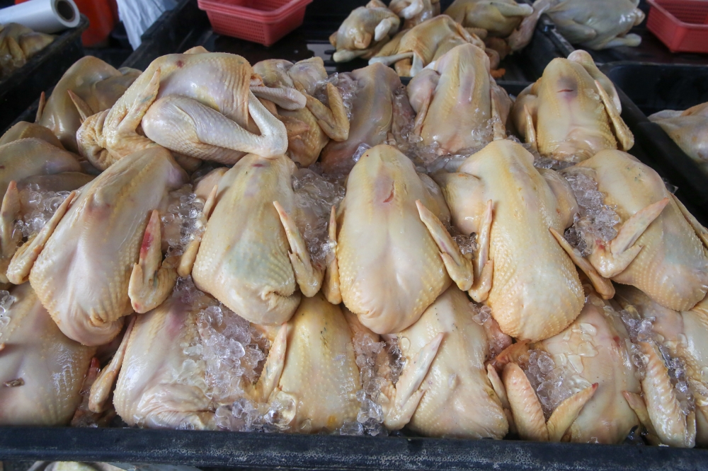 Winner winner, chicken dinner: 11.5 tonnes gone in an hour at Rahmah Madani sale in Kuala Terengganu