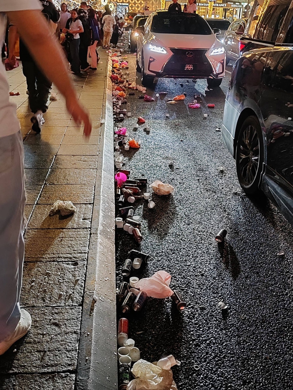 Lee Lam Thye: Punishment alone won’t stop littering, schools must instil civic responsibility