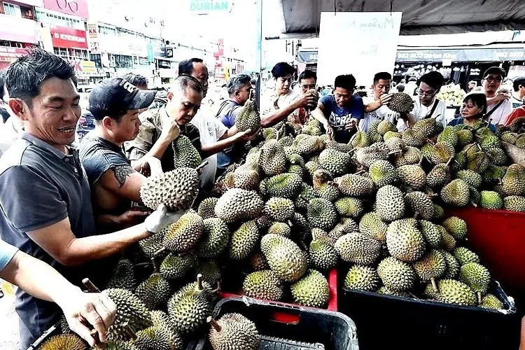 ‘Durian tsunami’: Musang King prices in Malaysia fall after bumper crop
