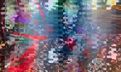 Buffalo on road causes fatal crash