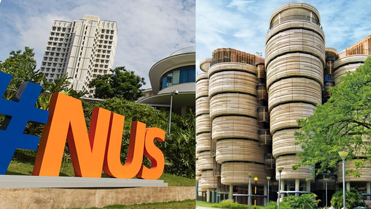 Man Profiles Dates by University, Says NUS, NTU, SMU Are His Only Preferences