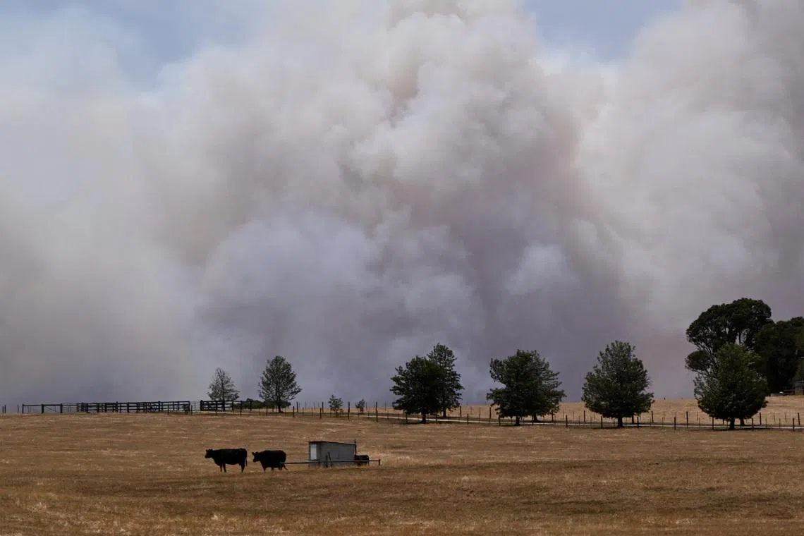 Australia’s PM Albanese warns of extreme and dangerous weather as bushfires rage in Victoria
