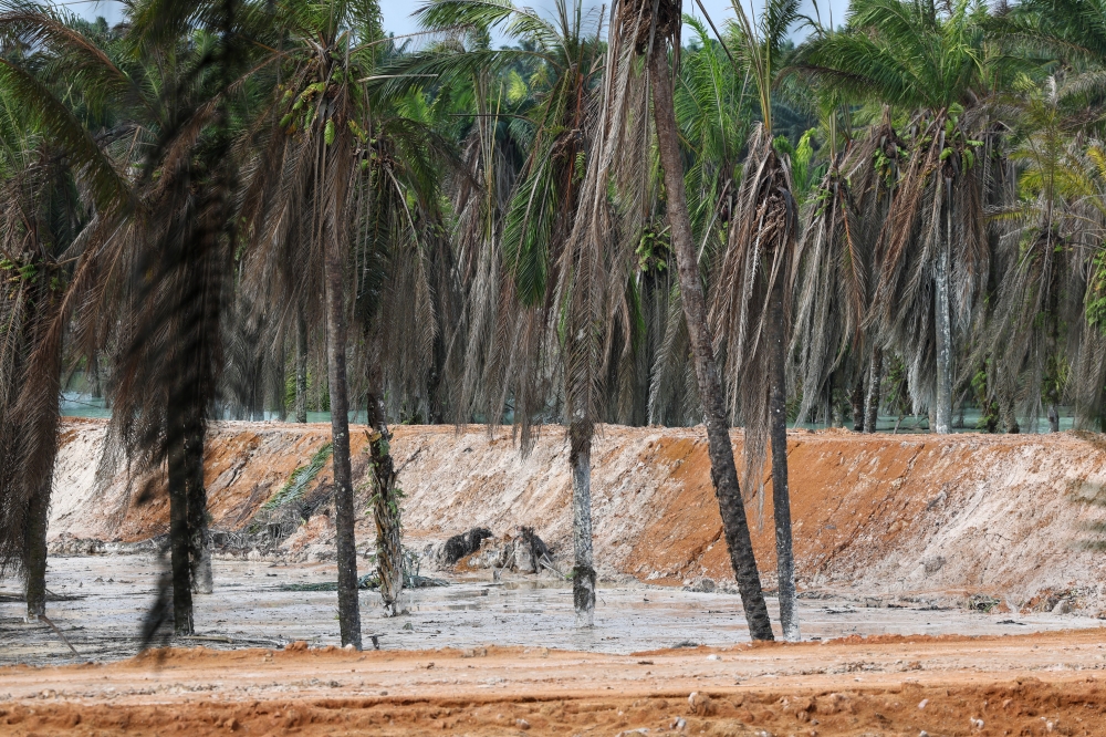 Expert proposes dredging to restore silt‑choked Sungai Sayong Pinang after sand‑mining incident