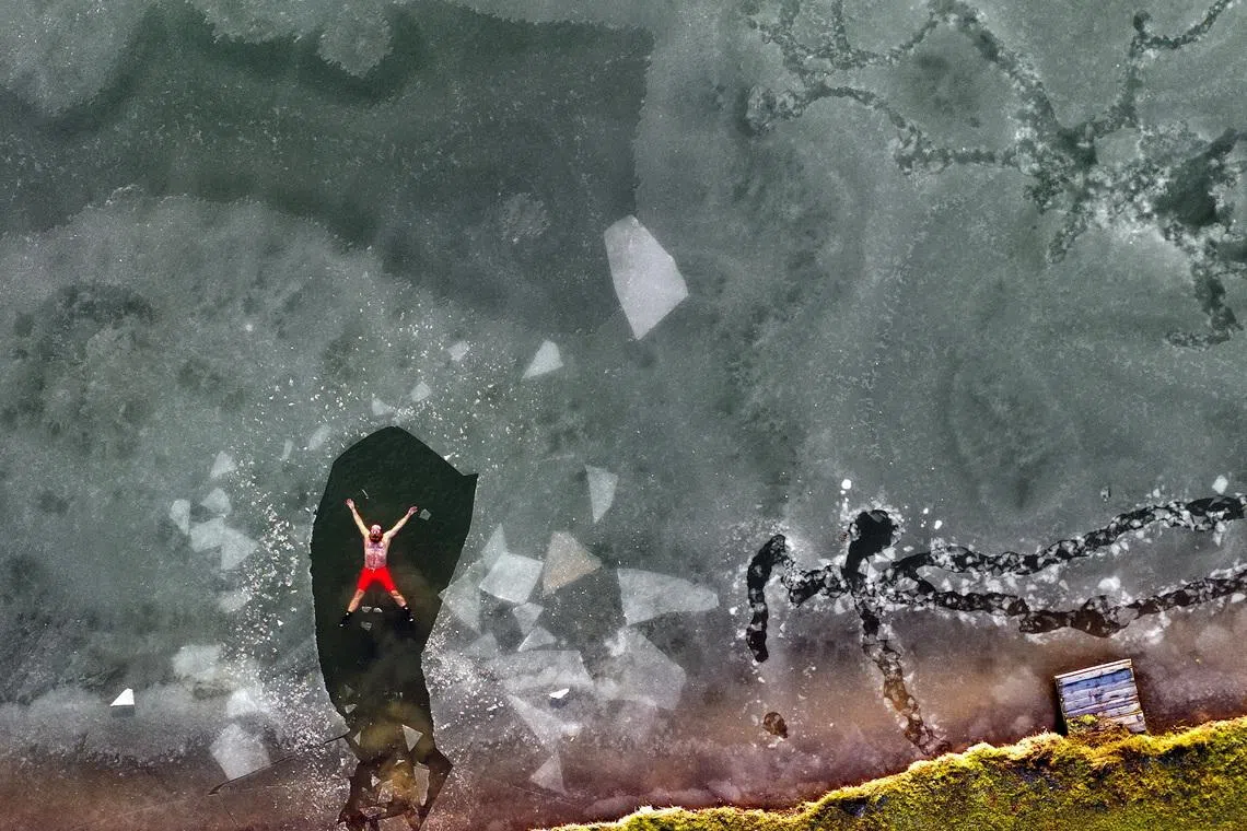 The Week in Pictures: Ice swimmer in Britain, Longhorn steers in Denver