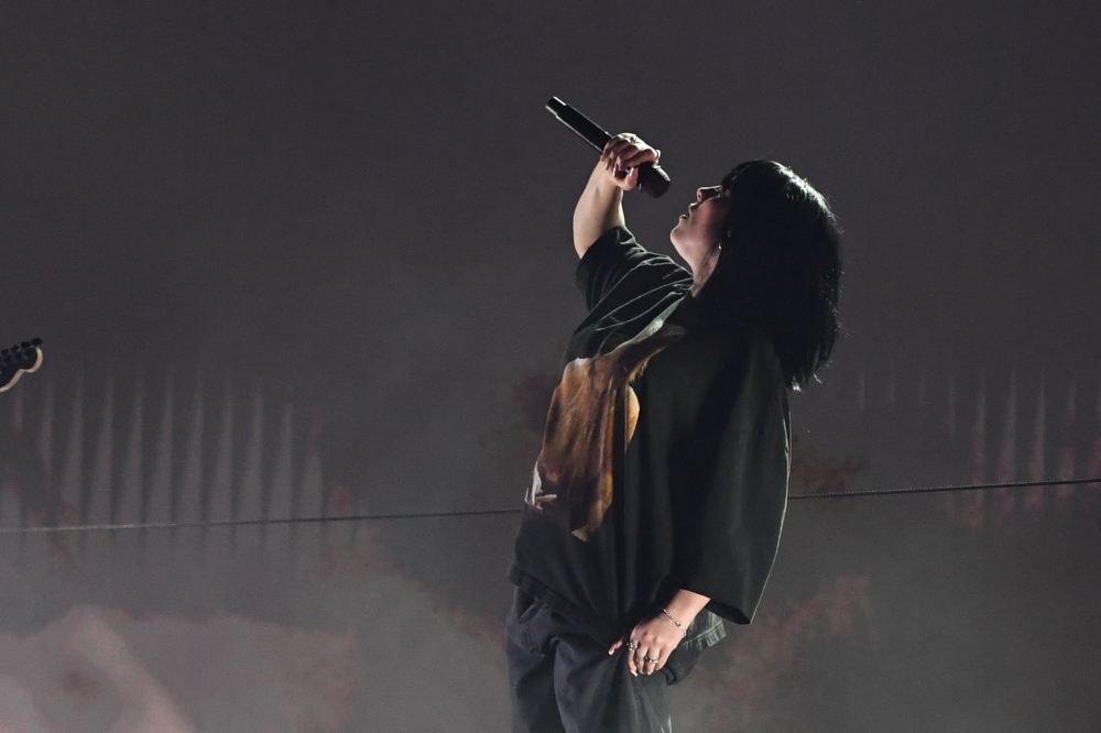 Billie Eilish calls ICE ‘terrorist group’ after fatal shooting of US woman