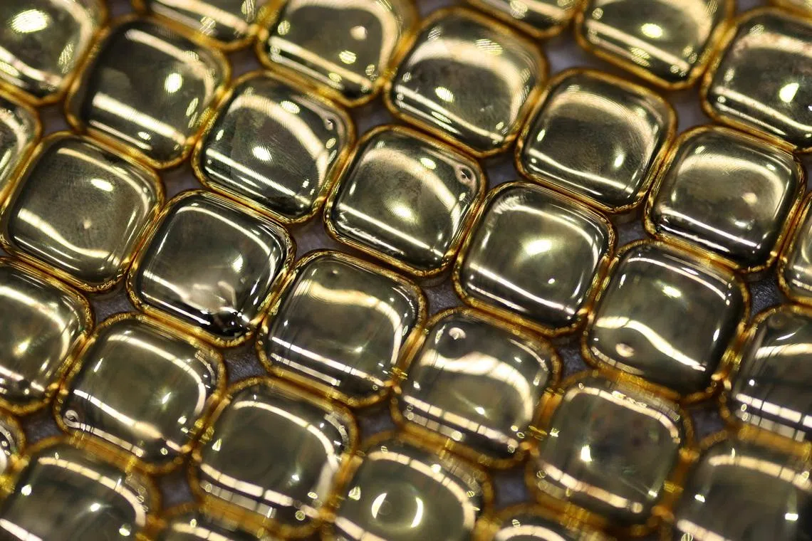 Trump Greenland threat triggers search for shelter beyond gold, defence