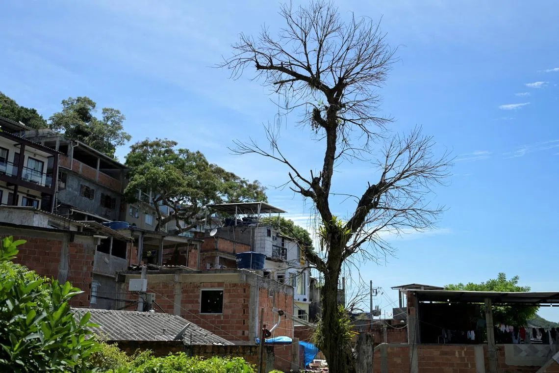 Climate change fuels disasters, but deaths don’t add up