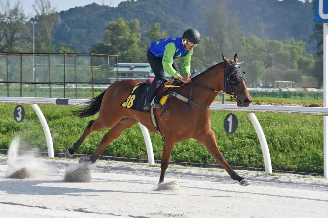 Superb Winner is exactly that