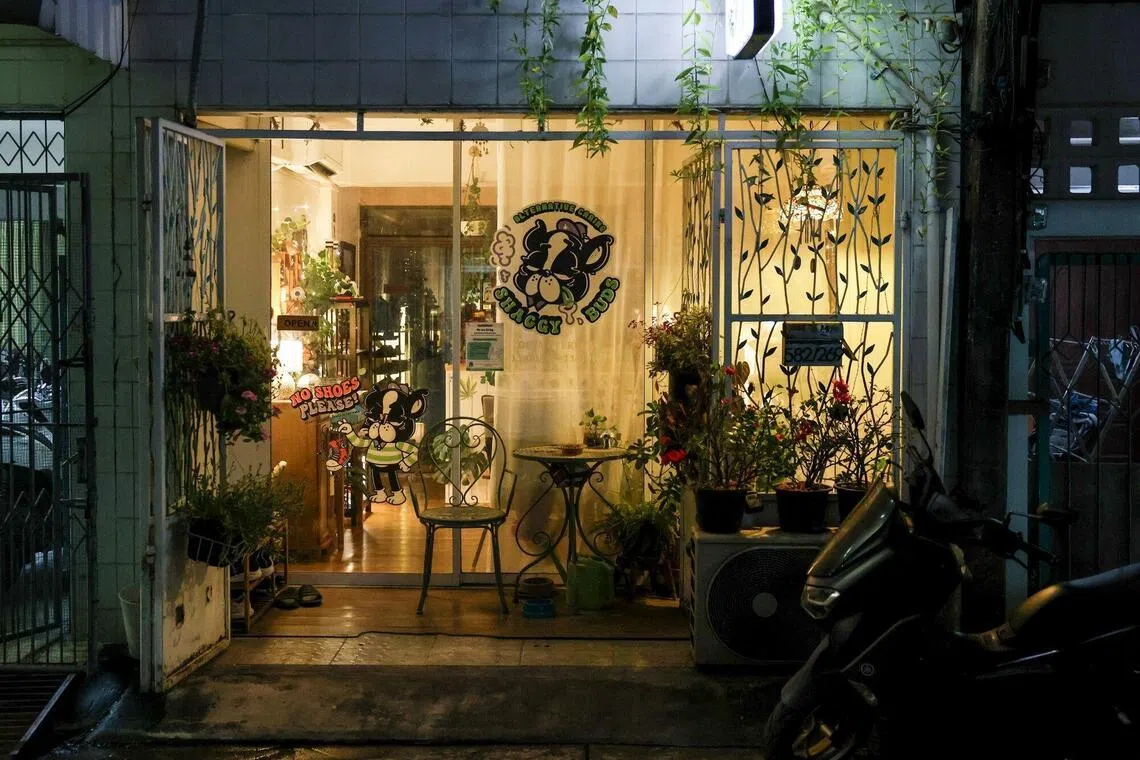 Over 7,000 cannabis shops close due to stricter regulations and new law