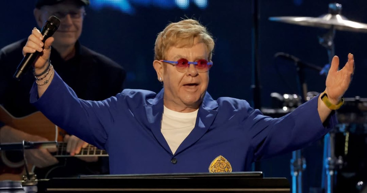 Elton John's private jet divebombed by 'huge hawk'
