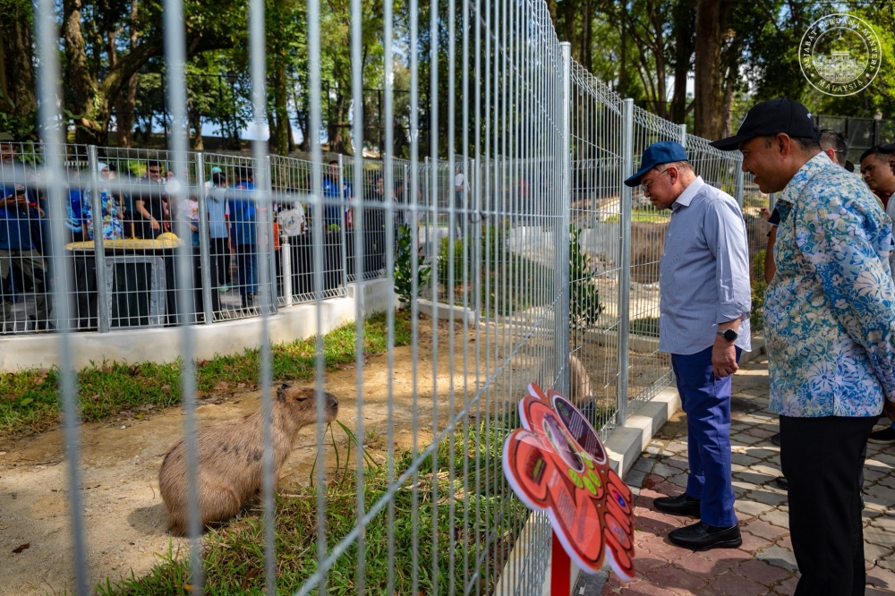 Anwar visits Johor Zoo, hopes it flourishes as heritage and learning hub