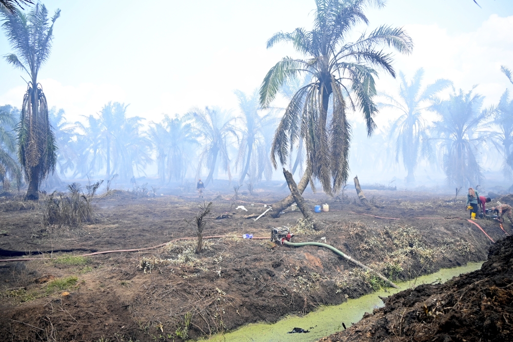 Fire rages through Simpang Renggam oil palm and pineapple plantations, strong winds keep firefighters on their toes