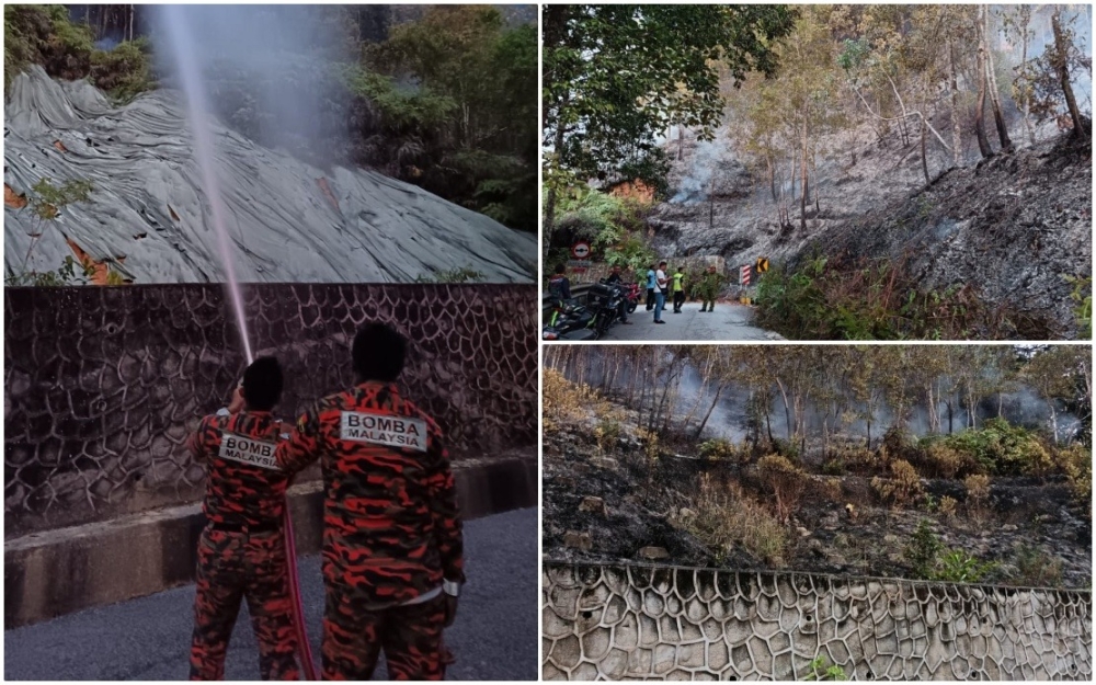 Five-hectare forest fire breaks out at Penang Botanic Gardens