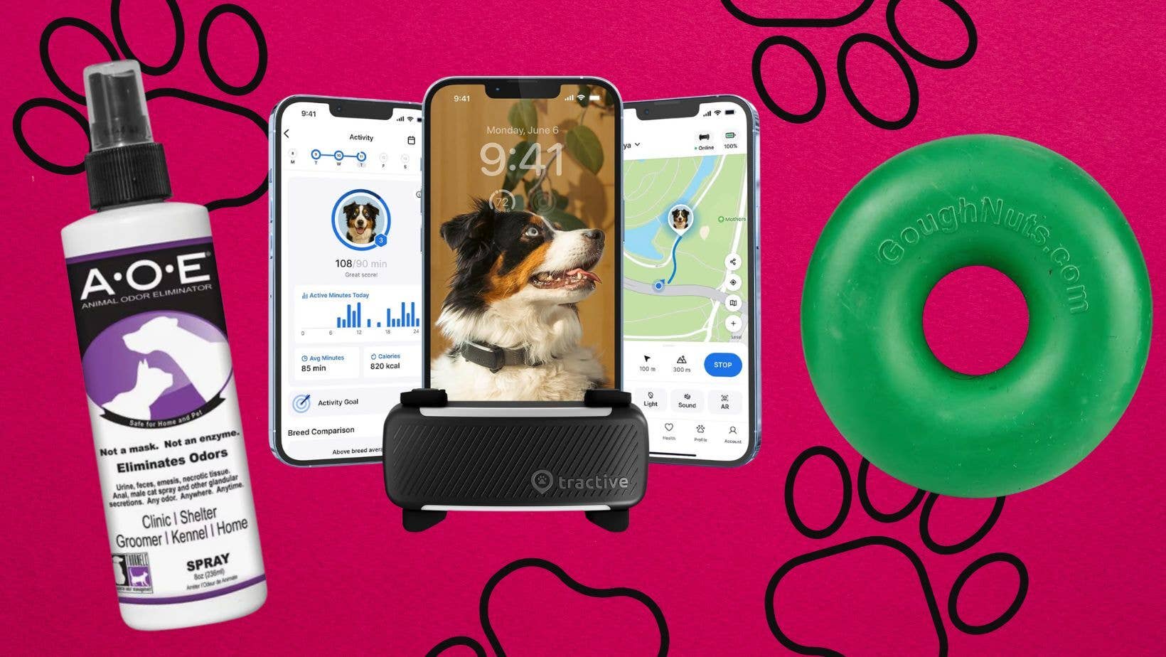 These Vets Are Also Pet Owners – Here Are 11 Products They Can't Live Without