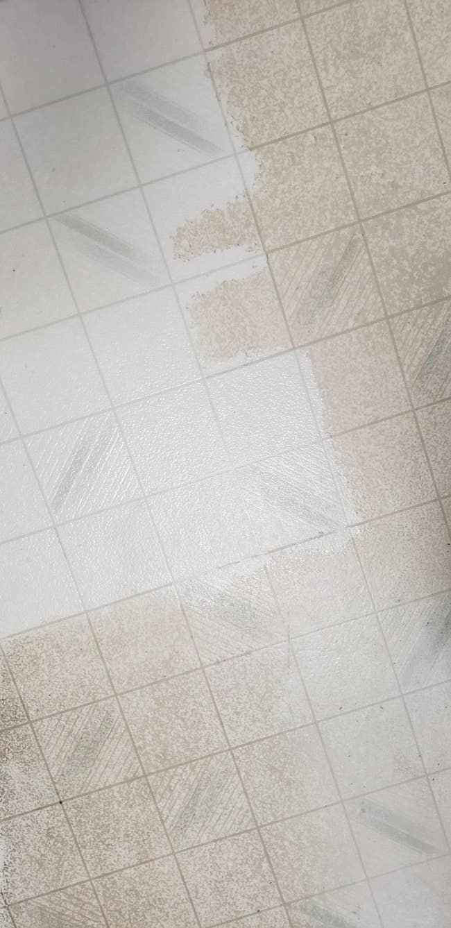 I’ve Got You Covered With These 32 Elite Cleaning Products