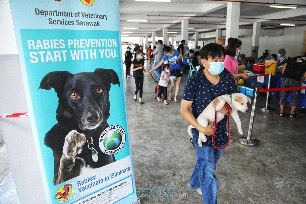 Rabies cases climb in Kuching and Serian, mayor urges tighter control of pet dogs