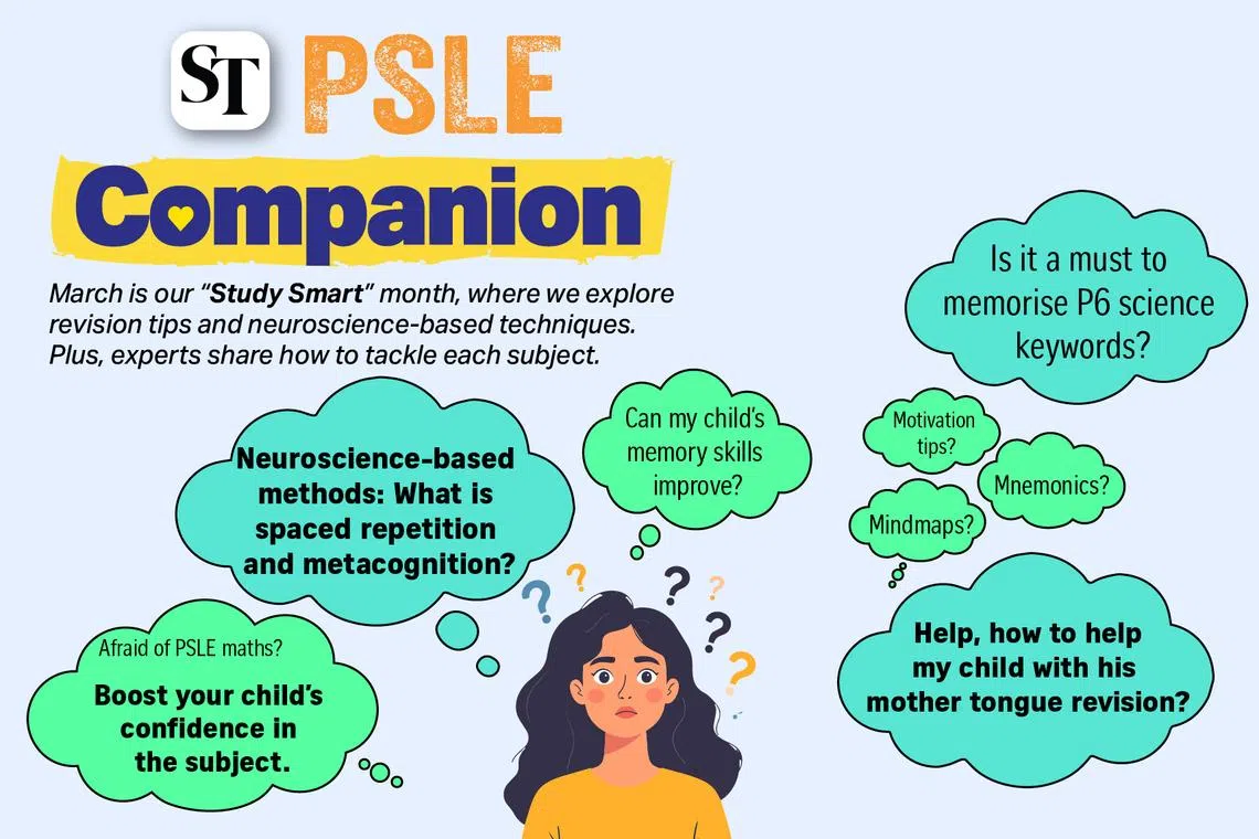 Ask Sandra: Neuroscience-backed revision methods for the PSLE that will help your child