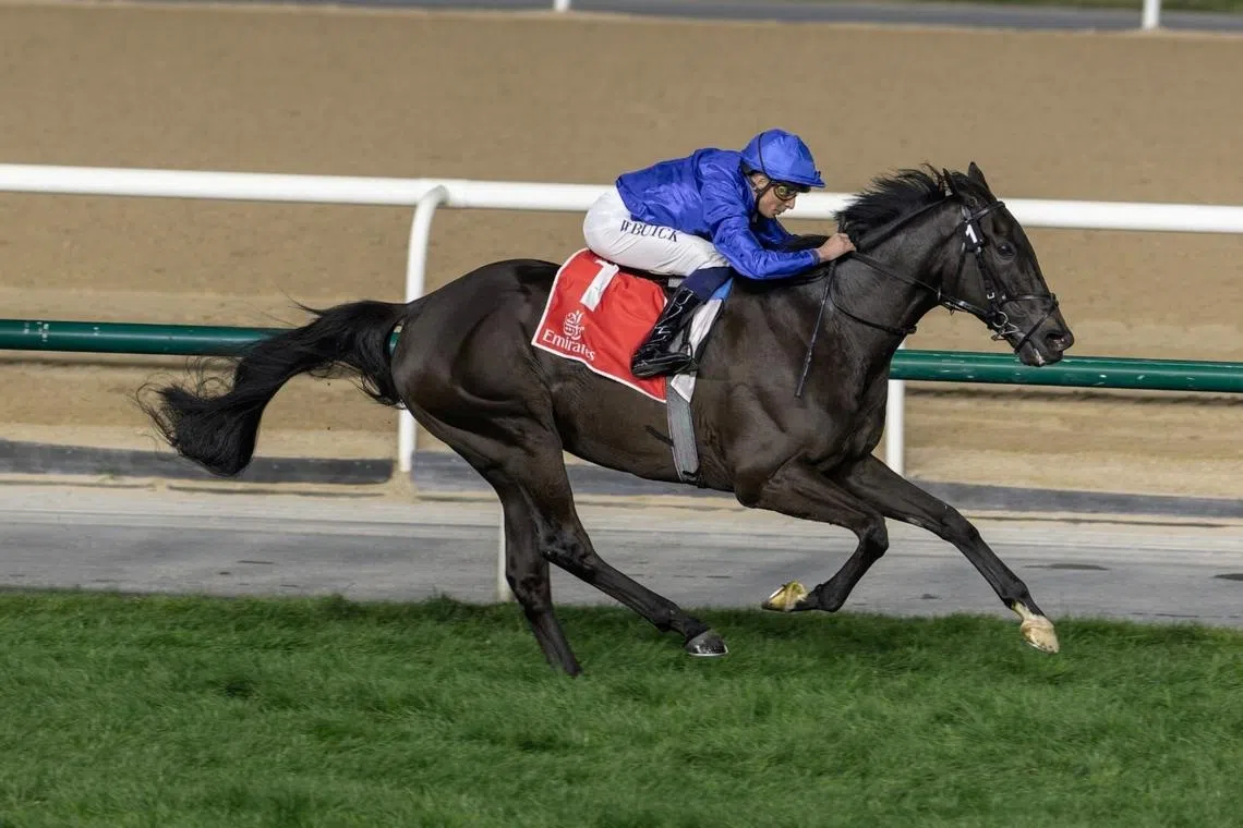 Game Rebel’s Romance gains verdict in Dubai City Of Gold