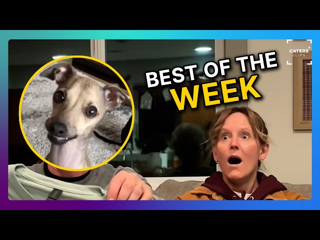 The Most Viral Videos This Week