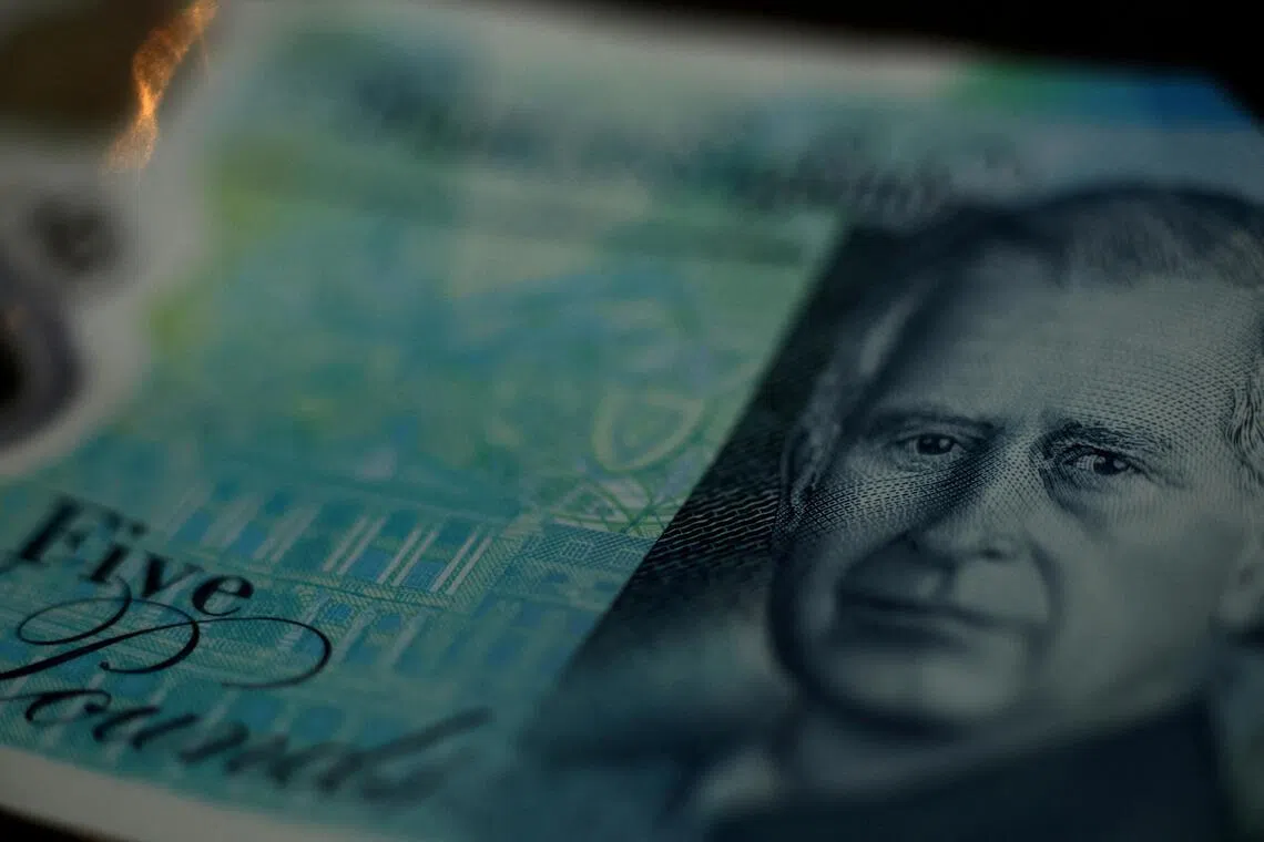Wildlife to replace humans on next series of British banknotes