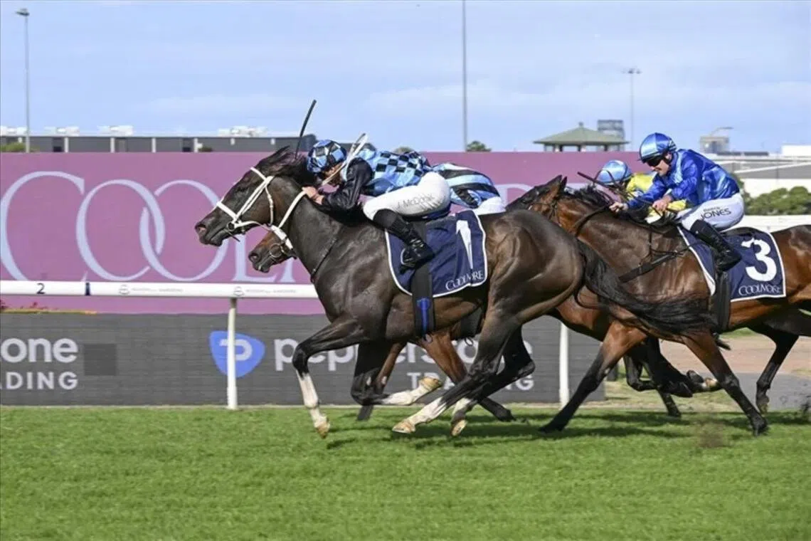 Lazzura scores brave win in Coolmore Classic