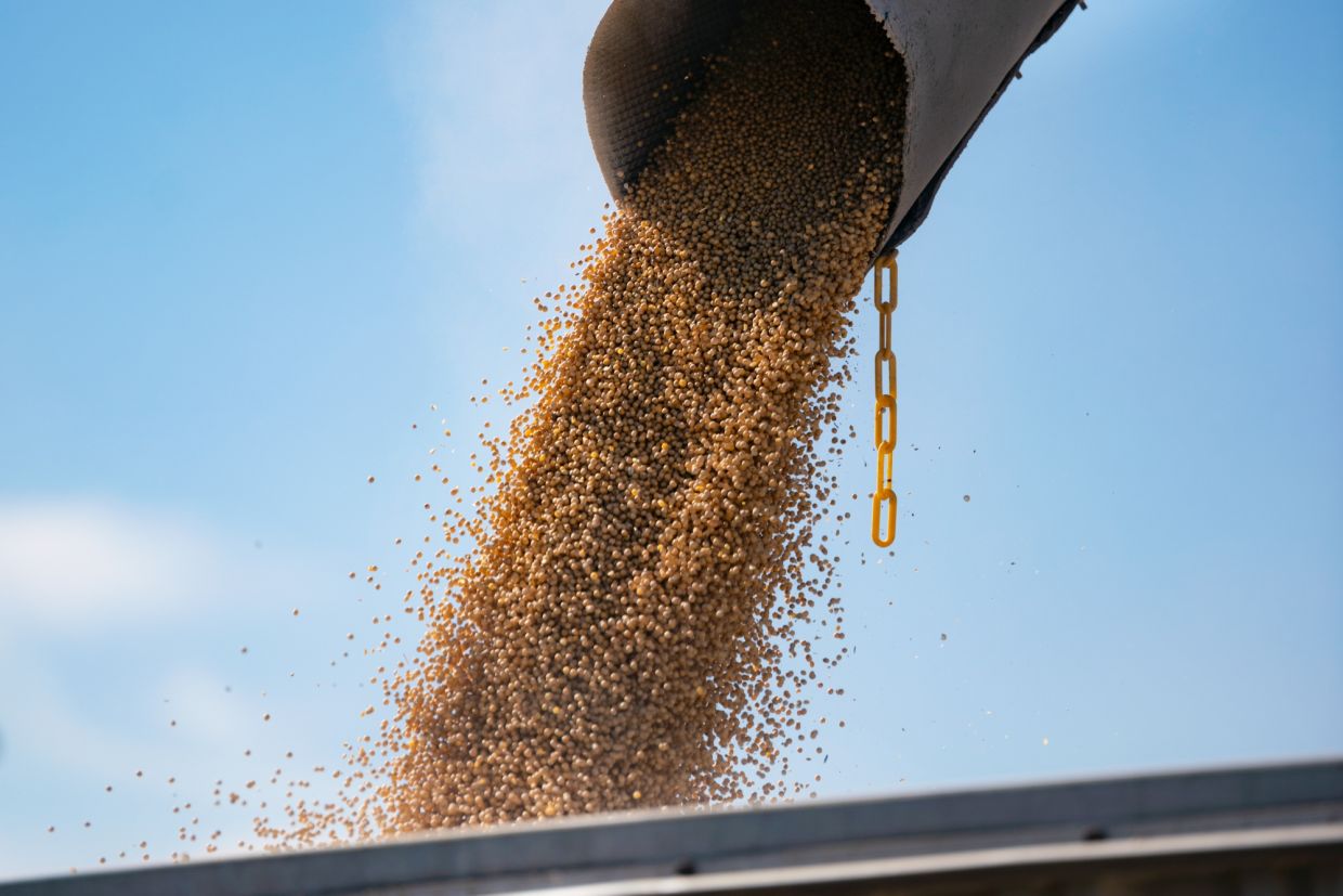 Crop rally from Iran war is spurring farm sales